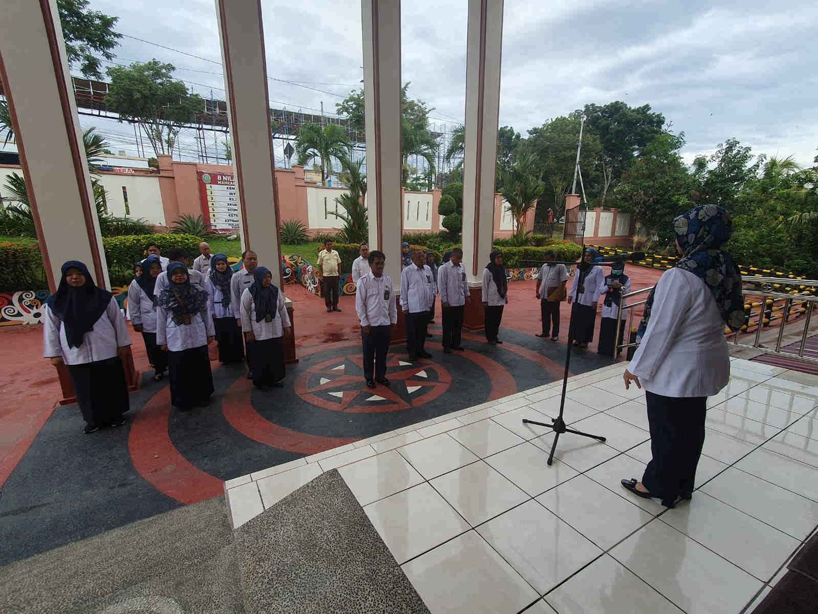 apelpagi2025 0
